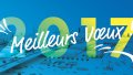 CDVIA et toute son équipe vous souhaitent de joyeuses fêtes et une bonne année 2017 !